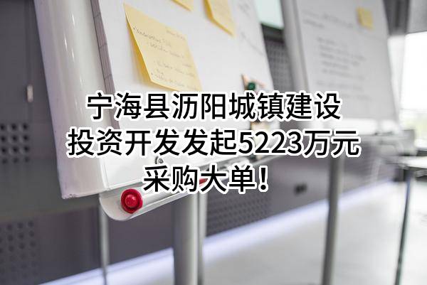 宁海县沥阳城镇建设投资开发有限公司最新发起5223万元采购大单！