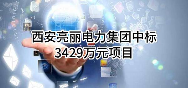 西安亮丽电力集团有限责任公司中标3429万元项目