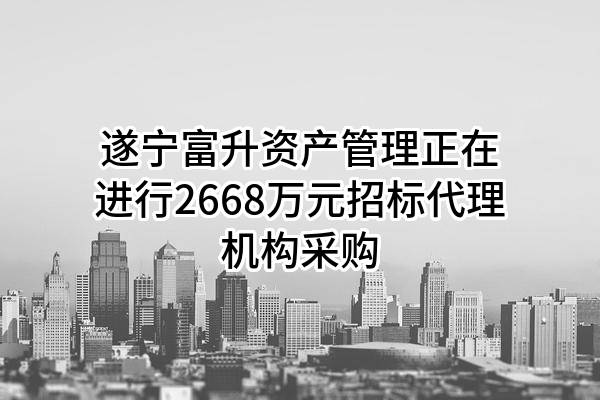 遂宁富升资产管理有限公司正在进行2668万元招标代理机构采购