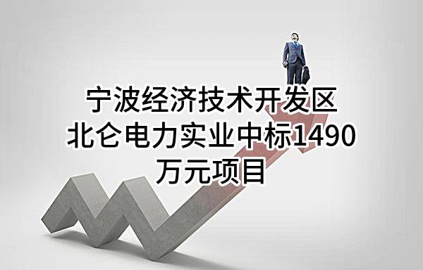 宁波经济技术开发区北仑电力实业有限责任公司中标1490万元项目
