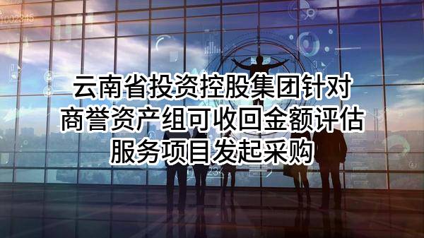 云南省投资控股集团有限公司针对商誉资产组可收回金额评估服务项目发起采购