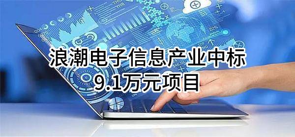 浪潮电子信息产业股份有限公司中标9.1万元项目