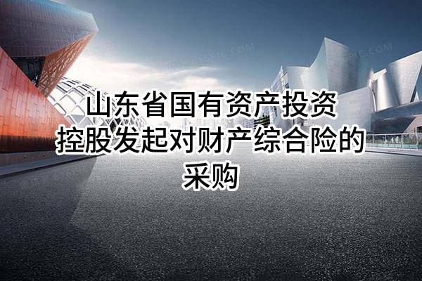 山东省国有资产投资控股有限公司发起对财产综合险的采购
