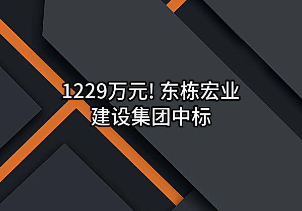 1229万元! 东栋宏业建设集团有限公司中标