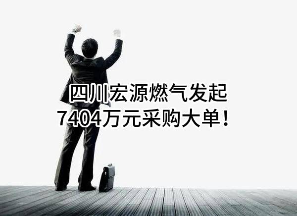 四川宏源燃气股份有限公司最新发起7404万元采购大单！