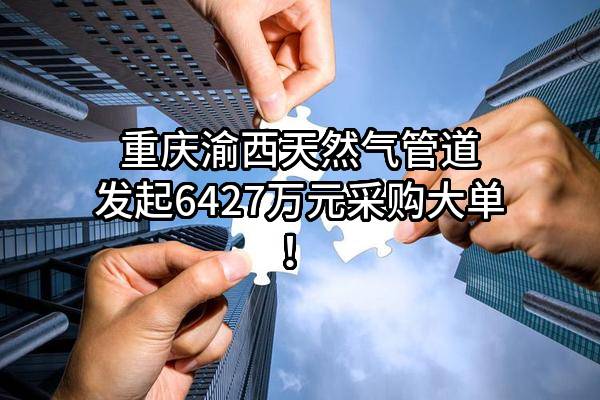 重庆渝西天然气管道有限公司最新发起6427万元采购大单！