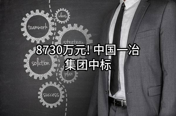 8730万元! 中国一冶集团有限公司中标