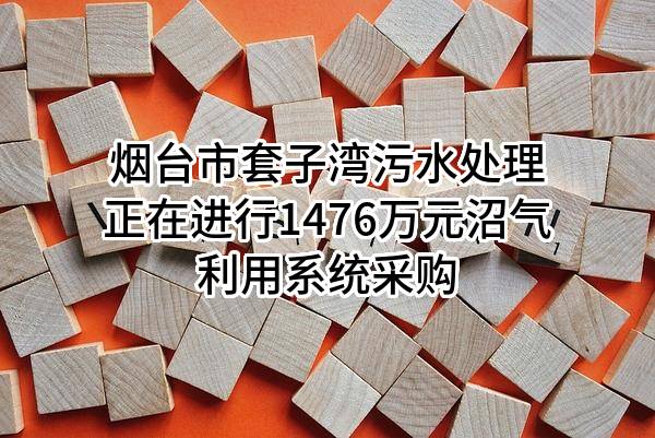 烟台市套子湾污水处理有限公司正在进行1476万元沼气利用系统采购
