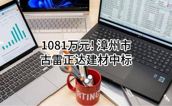 1081万元! 漳州市古雷正达建材有限公司中标