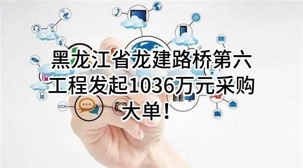 黑龙江省龙建路桥第六工程有限公司最新发起1036万元采购大单！