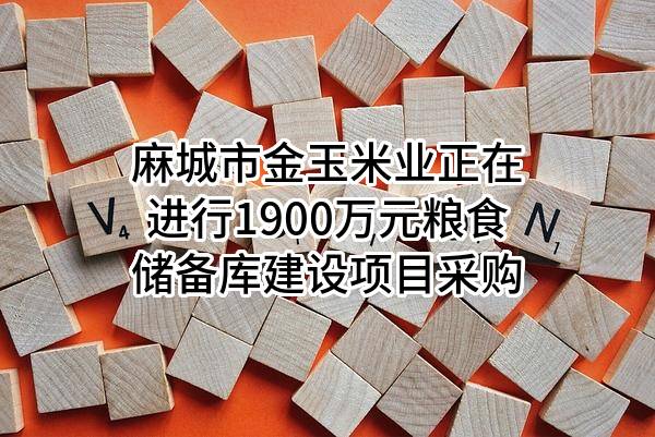麻城市金玉米业有限公司正在进行1900万元粮食储备库建设项目采购