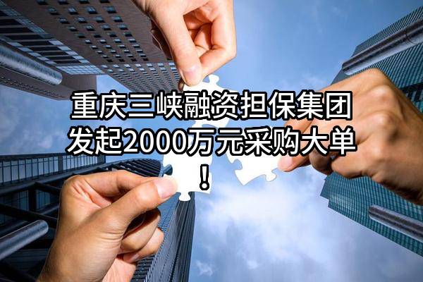 重庆三峡融资担保集团股份有限公司最新发起2000万元采购大单！