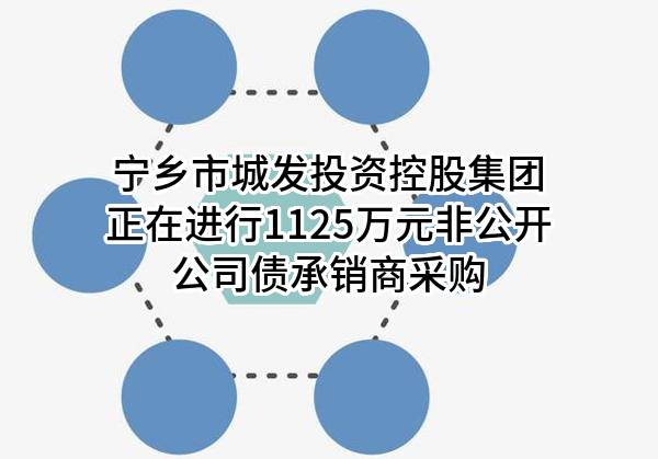 宁乡市城发投资控股集团有限公司正在进行1125万元非公开公司债承销商采购