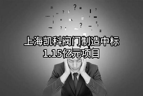 上海凯科阀门制造有限公司中标1.15亿元项目