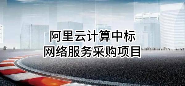 阿里云计算有限公司中标网络服务采购项目