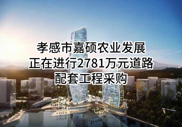 孝感市嘉硕农业发展有限公司正在进行2781万元道路配套工程采购