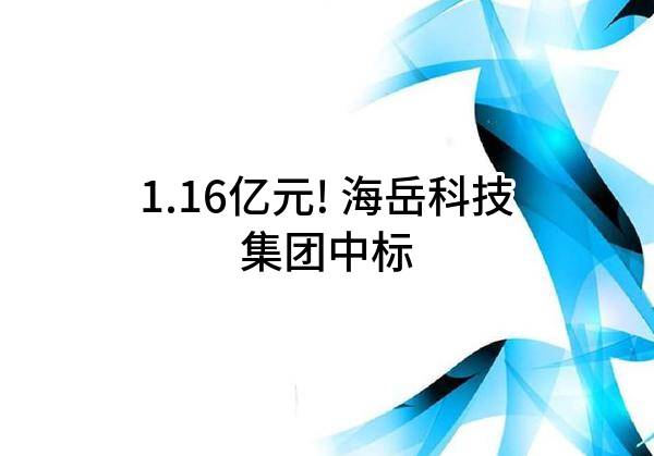 1.16亿元! 海岳科技集团有限公司中标