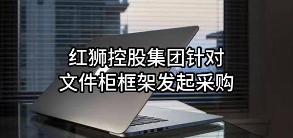 红狮控股集团有限公司针对文件柜框架发起采购