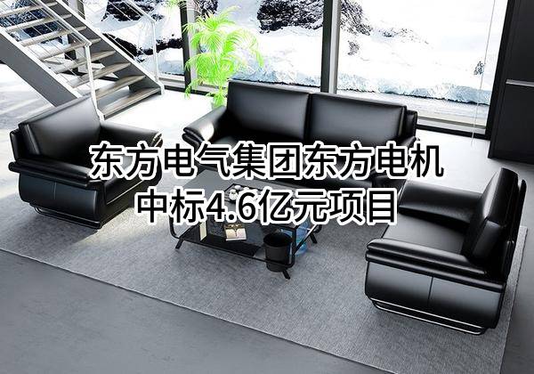 东方电气集团东方电机有限公司中标4.6亿元项目
