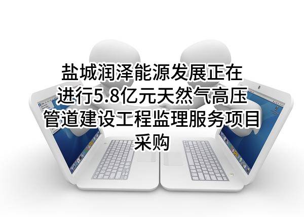 盐城润泽能源发展有限公司正在进行5.8亿元天然气高压管道建设工程监理服务项目采购