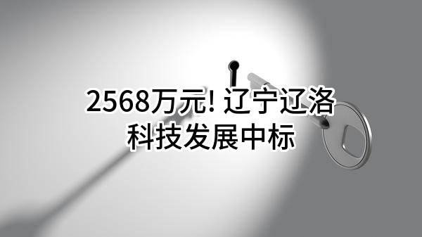 2568万元! 辽宁辽洛科技发展有限公司中标