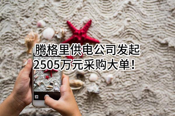 腾格里供电公司最新发起2505万元采购大单！