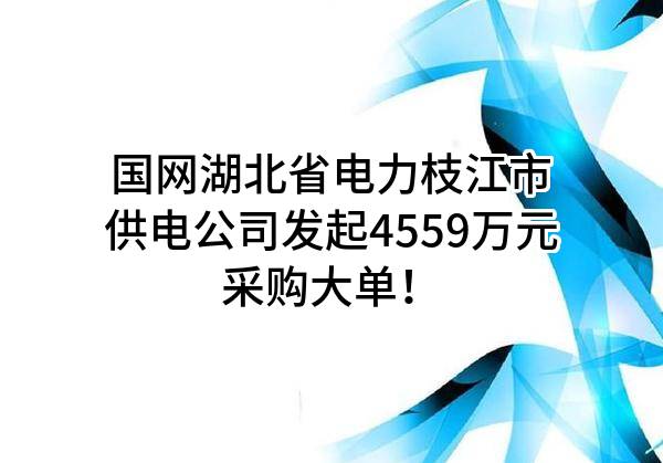 国网湖北省电力有限公司枝江市供电公司最新发起4559万元采购大单！