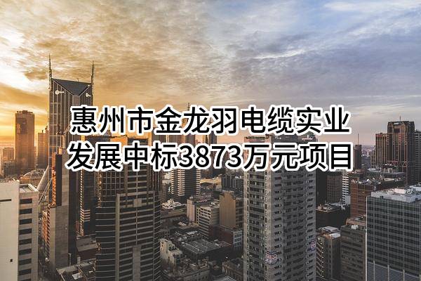 惠州市金龙羽电缆实业发展有限公司中标3873万元项目