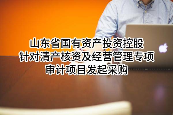 山东省国有资产投资控股有限公司针对清产核资及经营管理专项审计项目发起采购