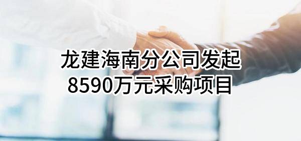 龙建股份有限公司海南分公司最新发起8590万元采购项目