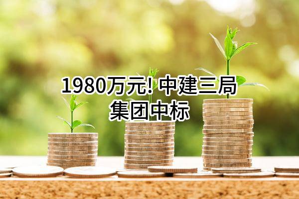 1980万元! 中建三局集团有限公司中标
