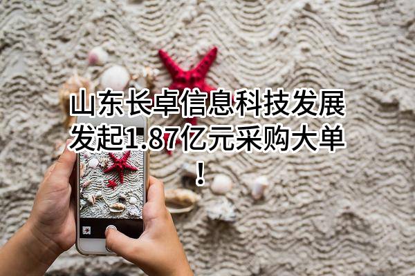 山东长卓信息科技发展有限公司最新发起1.87亿元采购大单！