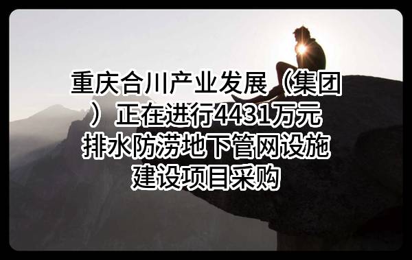 重庆合川产业发展（集团）有限公司正在进行4431万元排水防涝地下管网设施建设项目采购