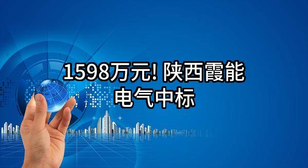 1598万元! 陕西霞能电气有限责任公司中标