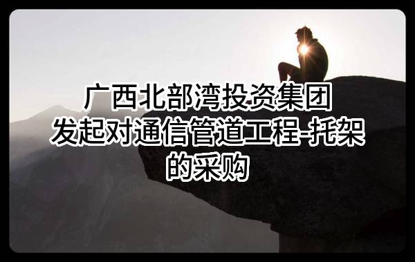 广西北部湾投资集团有限公司发起对通信管道工程-托架的采购