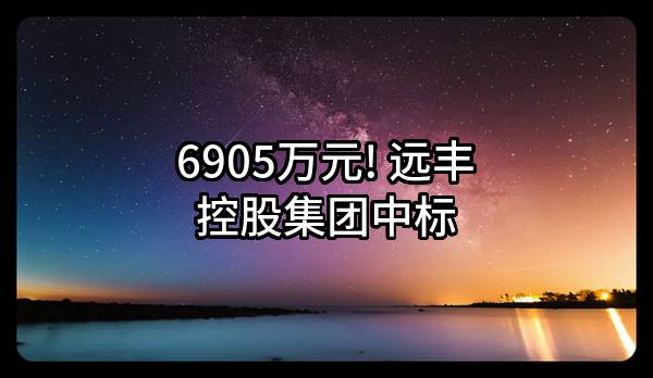 6905万元! 远丰控股集团有限公司中标