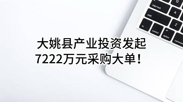 大姚县产业投资有限公司最新发起7222万元采购大单！