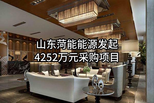 山东菏能能源有限公司最新发起4252万元采购项目