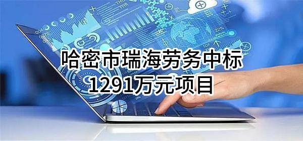 哈密市瑞海劳务有限公司中标1291万元项目