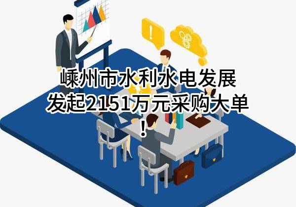 嵊州市水利水电发展有限公司最新发起2151万元采购大单！
