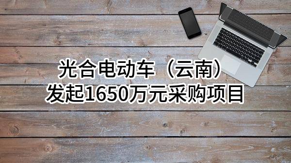 光合电动车（云南）有限公司最新发起1650万元采购项目