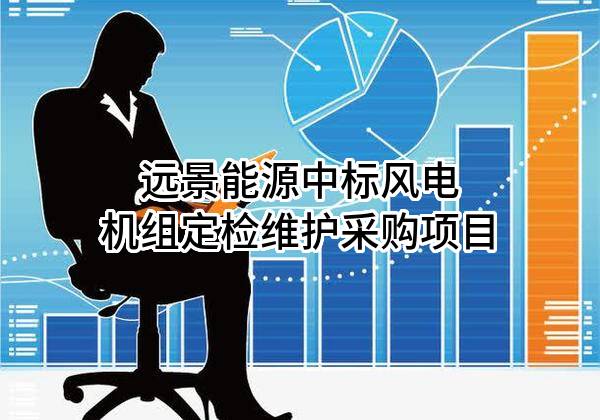 远景能源有限公司中标风电机组定检维护采购项目