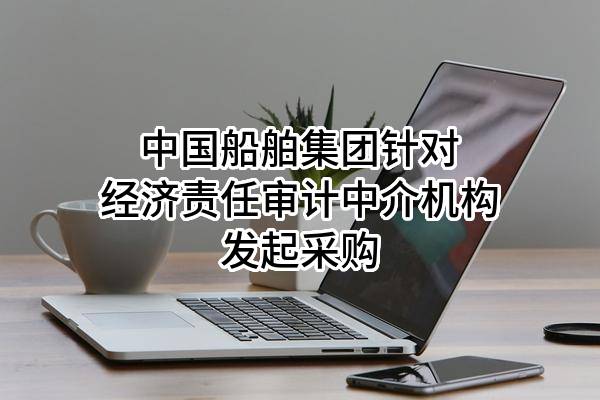 中国船舶集团有限公司针对经济责任审计中介机构发起采购