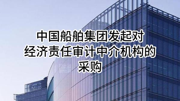 中国船舶集团有限公司发起对经济责任审计中介机构的采购
