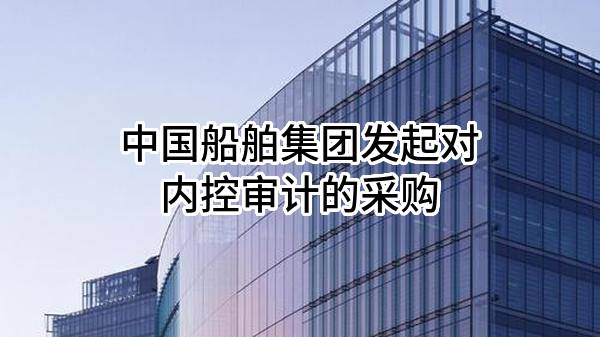 中国船舶集团有限公司发起对内控审计的采购