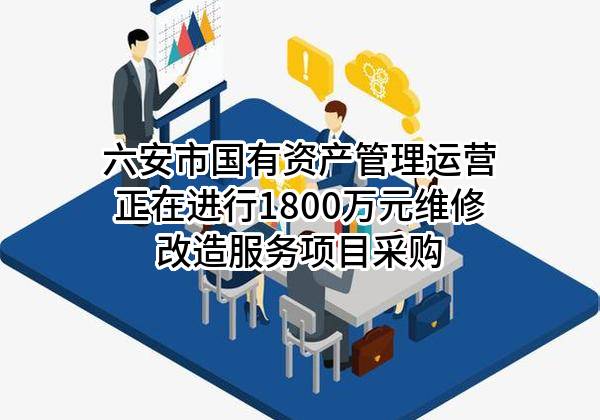 六安市国有资产管理运营有限公司正在进行1800万元维修改造服务项目采购
