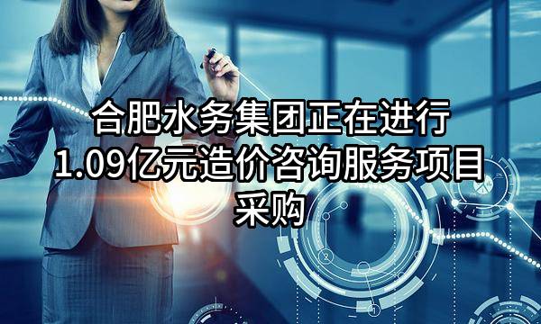 合肥水务集团有限公司正在进行1.09亿元造价咨询服务项目采购