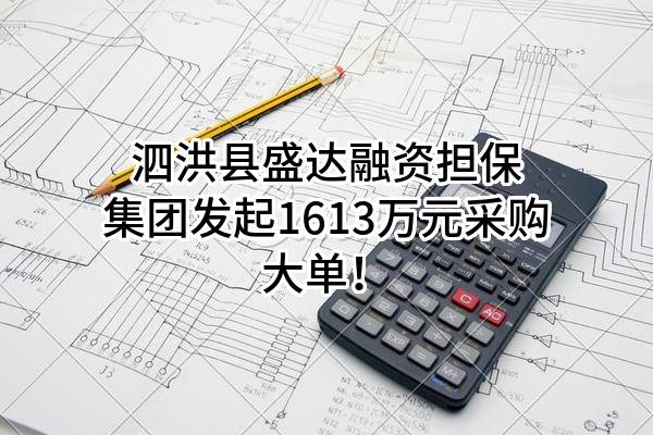 泗洪县盛达融资担保集团有限公司最新发起1613万元采购大单！
