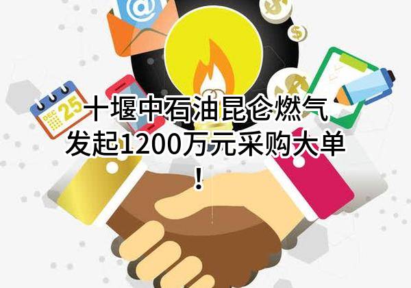 十堰中石油昆仑燃气有限公司最新发起1200万元采购大单!