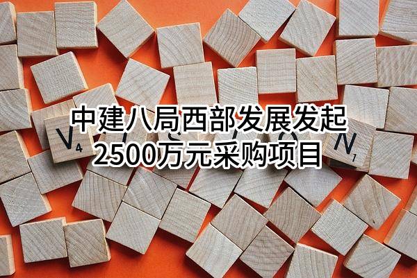 中建八局西部发展有限公司最新发起2500万元采购项目